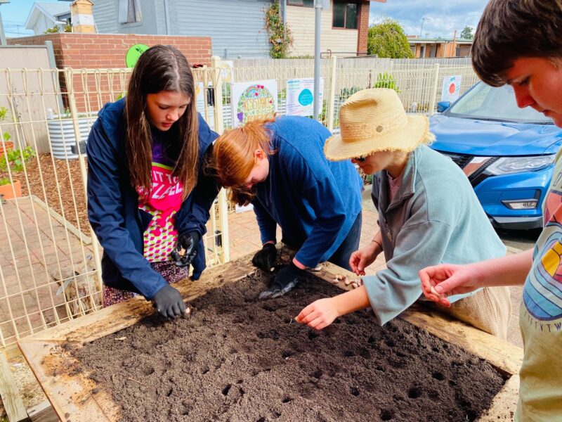 planting garlic